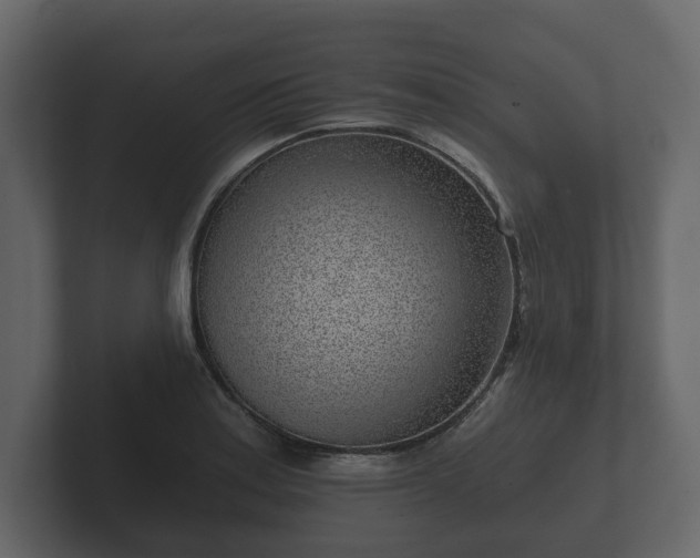 X0000102791179200808251022