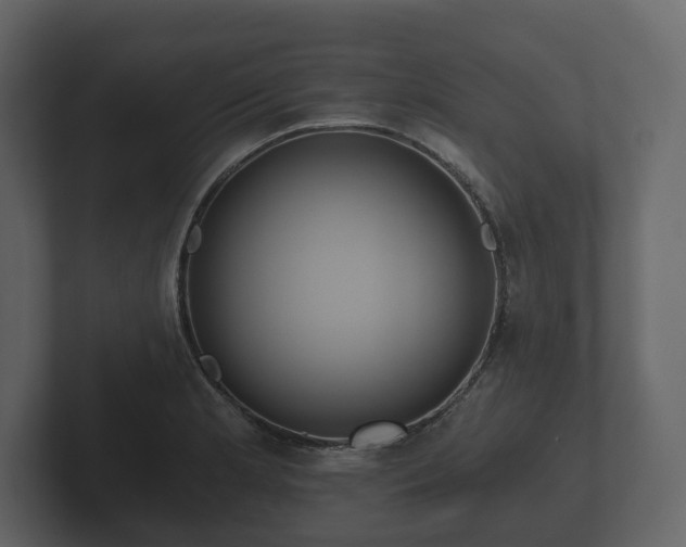 X0000102791181200808251022