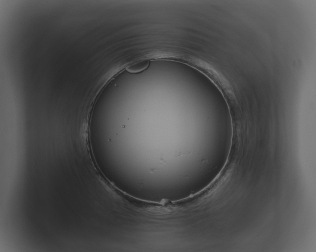X0000102791185200808251022