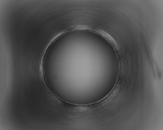 X0000102791190200808251022