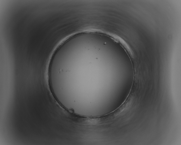 X0000102791191200808251022