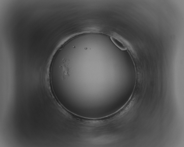 X0000102791192200808251022