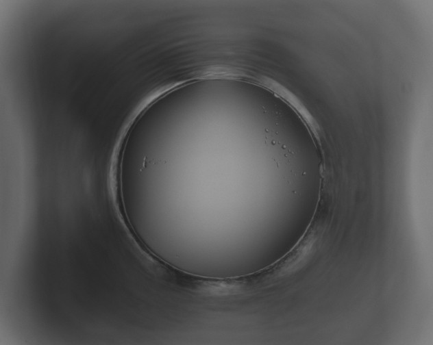 X0000102791195200808251022