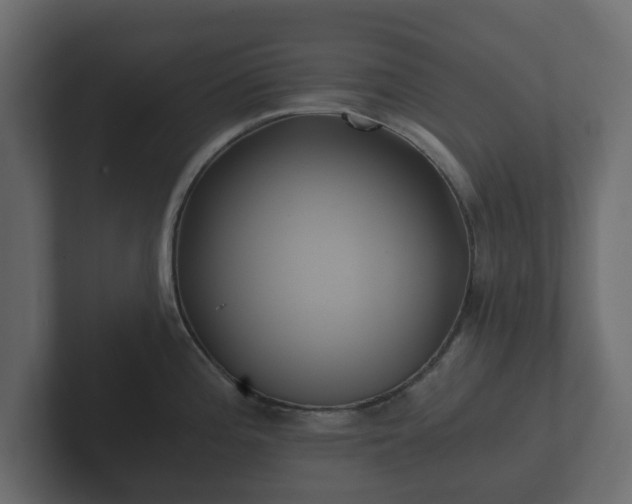 X0000102791196200808251022