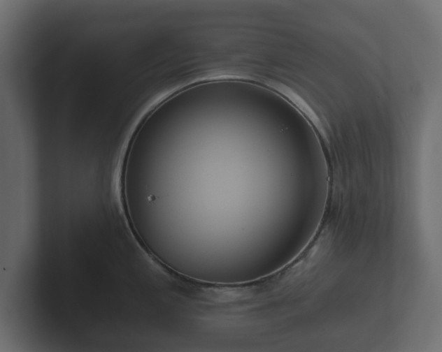 X0000102791197200808251022