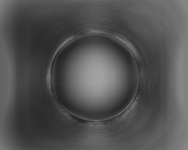 X0000102791198200808251022