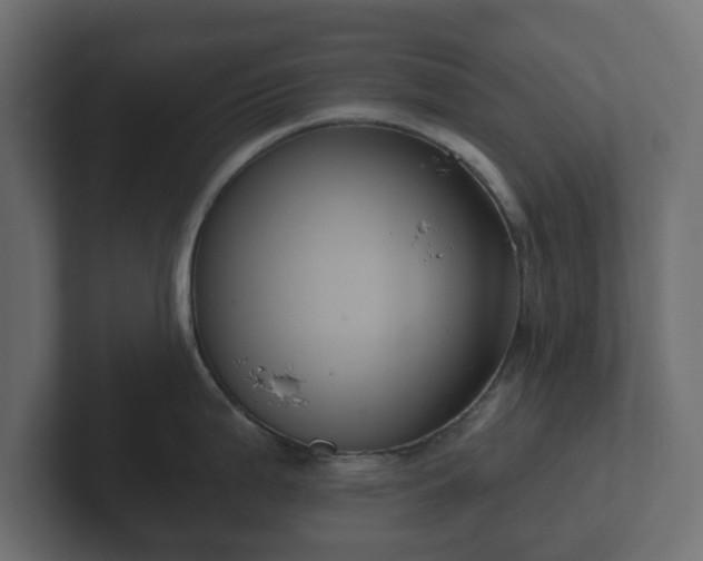 X0000102791199200808251022