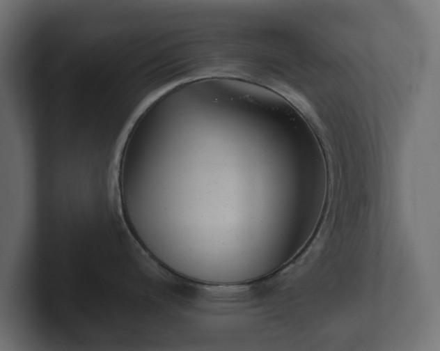 X0000102791200200808251022