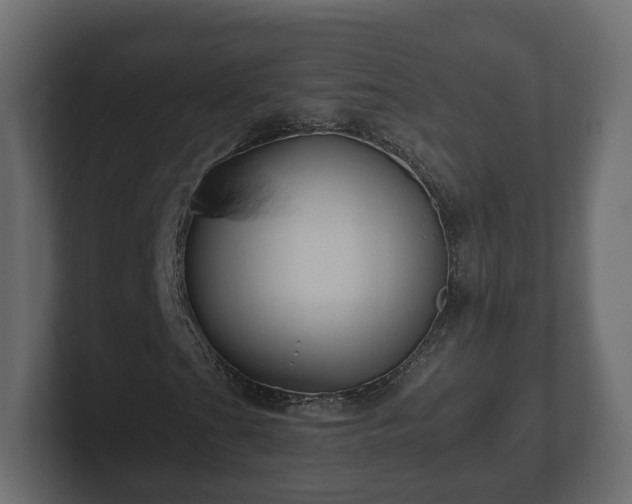 X0000102791201200808251021