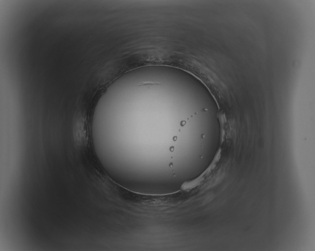 X0000102791202200808251021