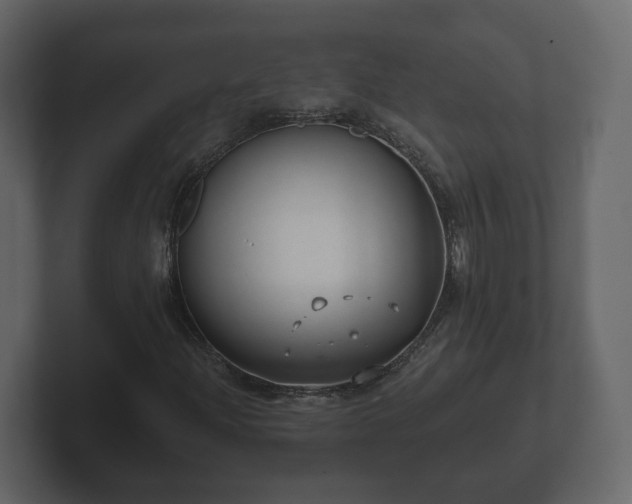 X0000102791204200808251021