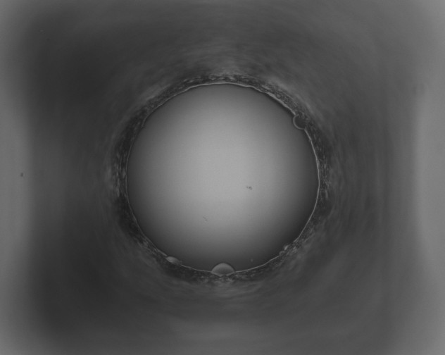 X0000102791207200808251021