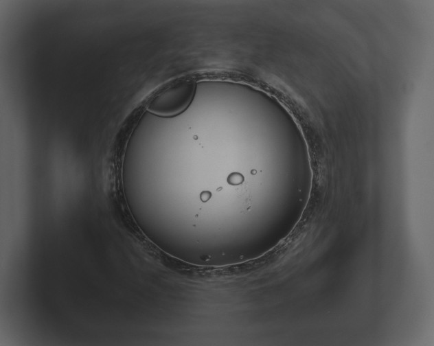 X0000102791208200808251021