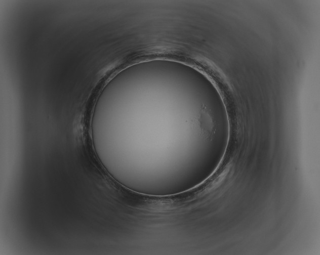X0000102791210200808251021