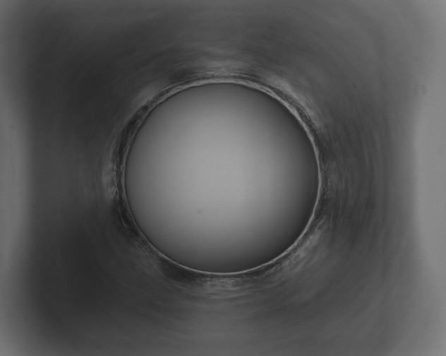 X0000102791211200808251021