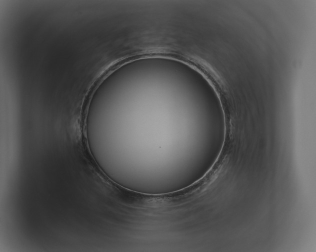 X0000102791212200808251021