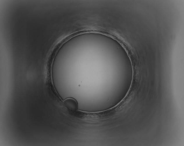 X0000102791215200808251022