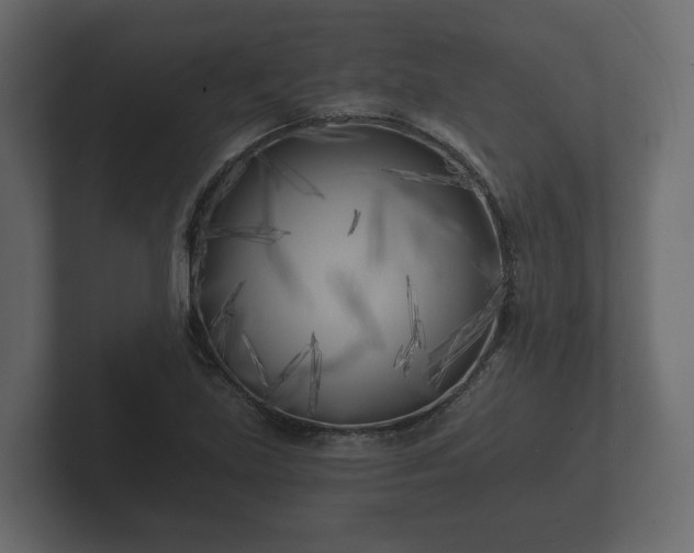 X0000102791219200808251022
