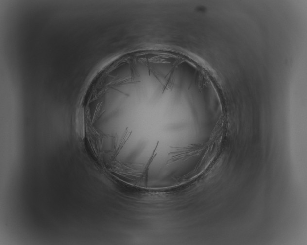 X0000102791223200808251022
