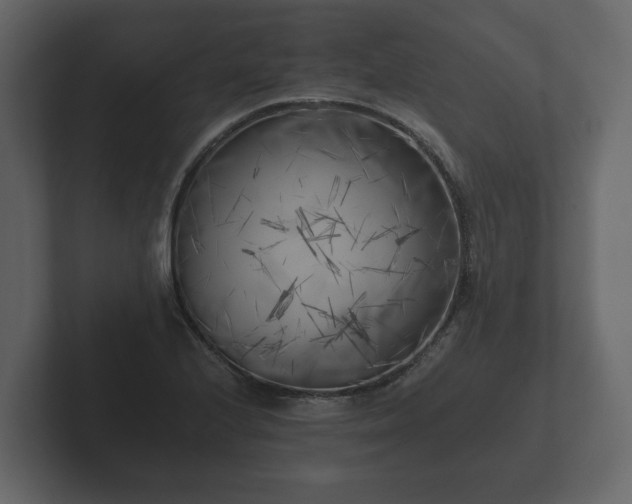 X0000102791224200808251022
