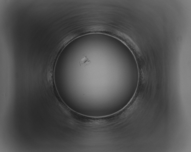 X0000102791225200808251022