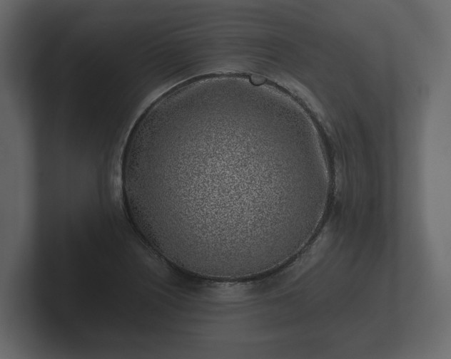 X0000102791226200808251022