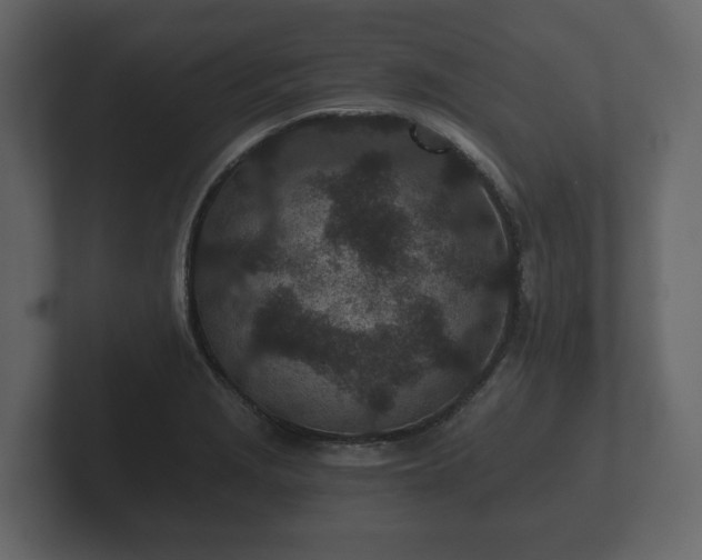 X0000102791229200808251022