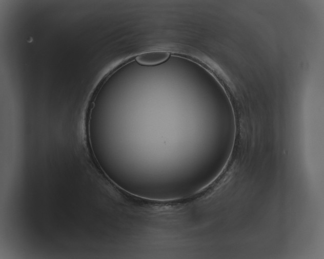 X0000102791230200808251022