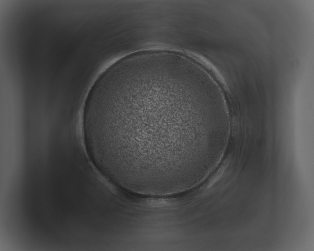 X0000102791231200808251022