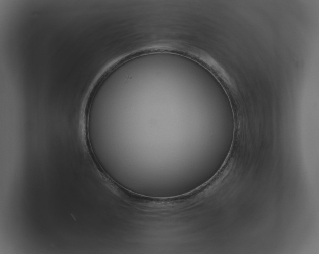X0000102791232200808251022