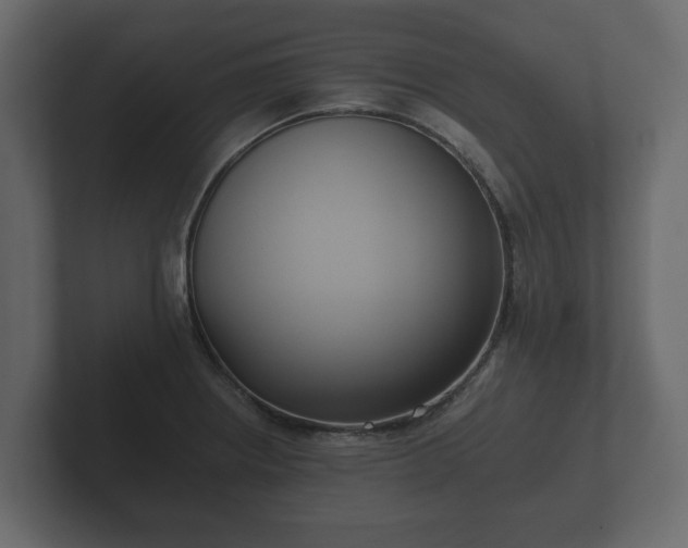 X0000102791234200808251022