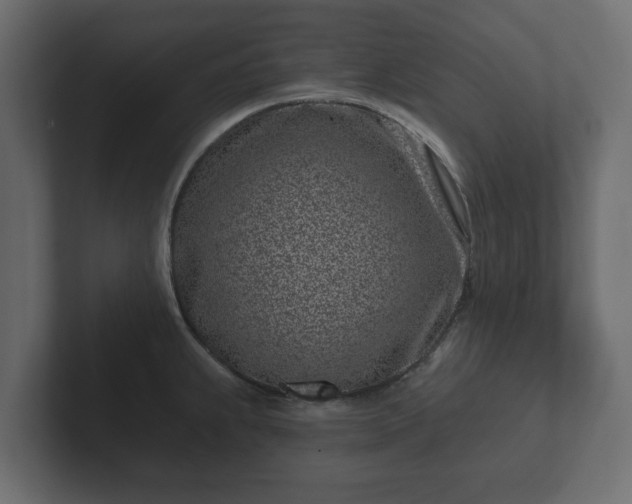 X0000102791239200808251022