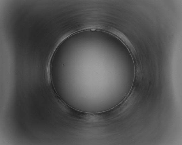 X0000102791242200808251022