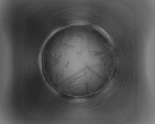 X0000102791243200808251022