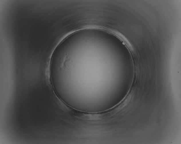 X0000102791244200808251022