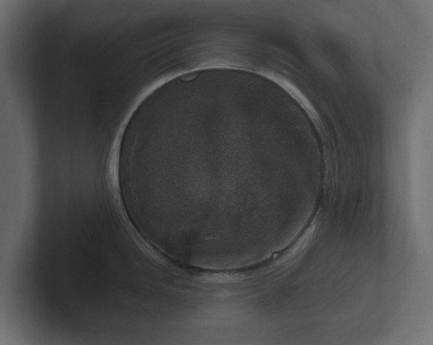X0000102791246200808251022