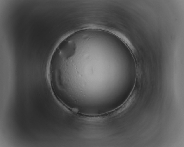X0000102791247200808251022