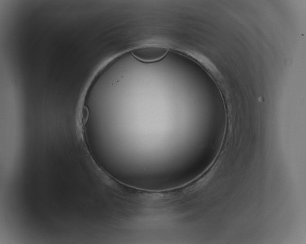 X0000102791248200808251022