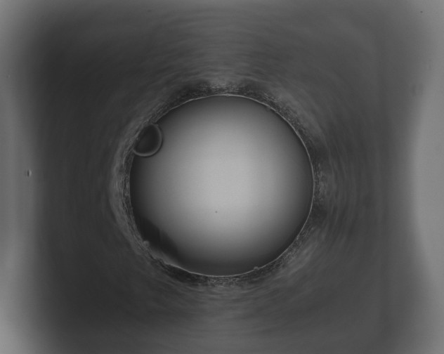 X0000102791249200808251021