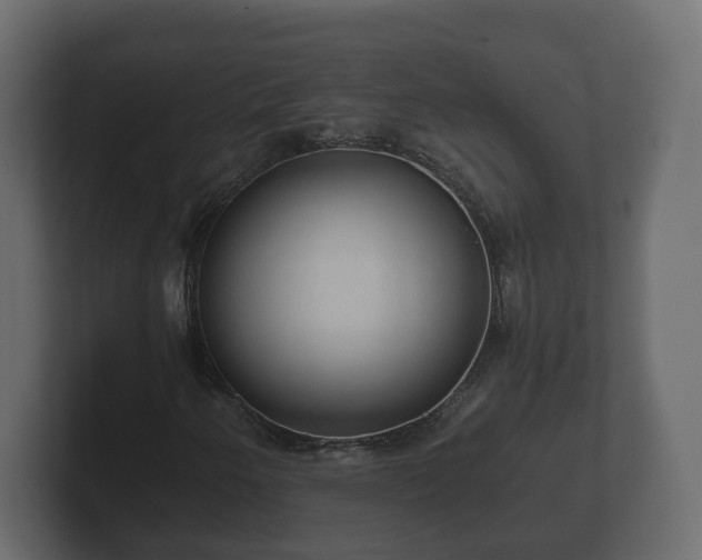 X0000102791250200808251021