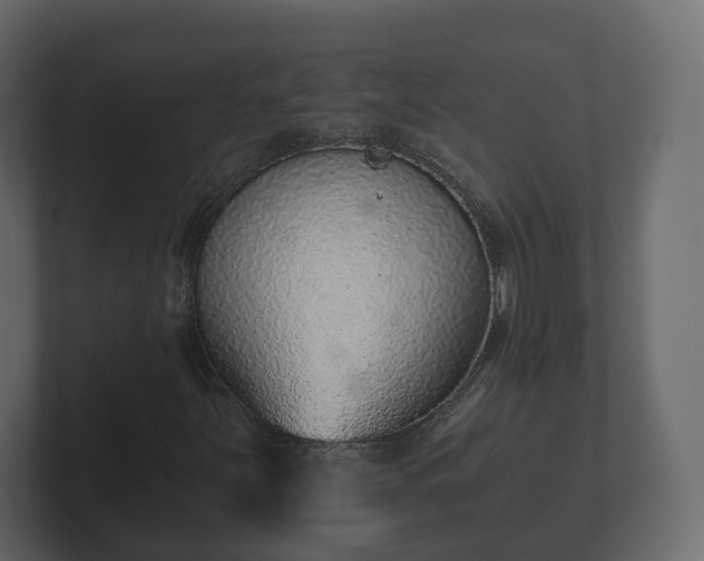X0000102791251200808251021