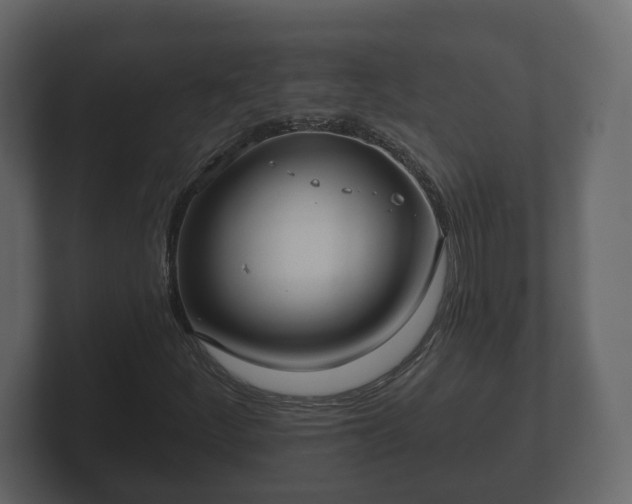 X0000102791252200808251021