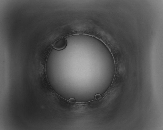 X0000102791253200808251021