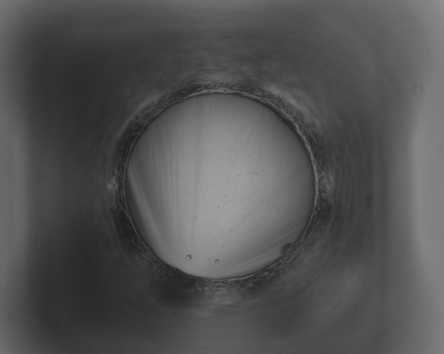 X0000102791254200808251021