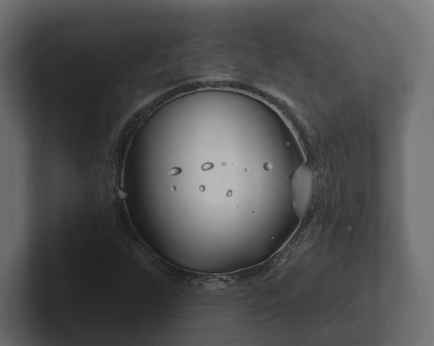X0000102791255200808251021
