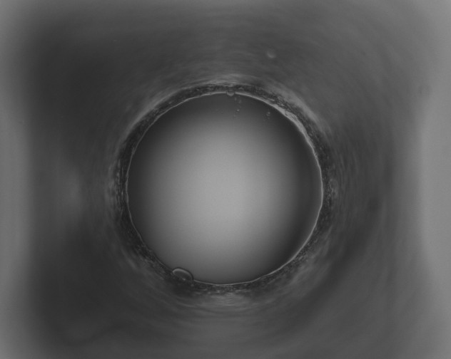 X0000102791256200808251021