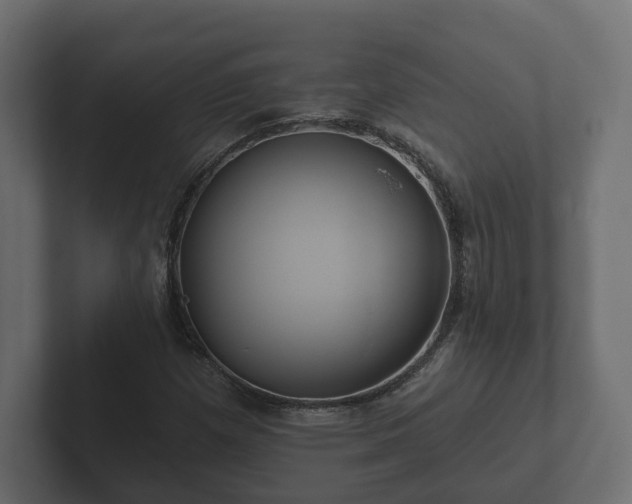 X0000102791257200808251021