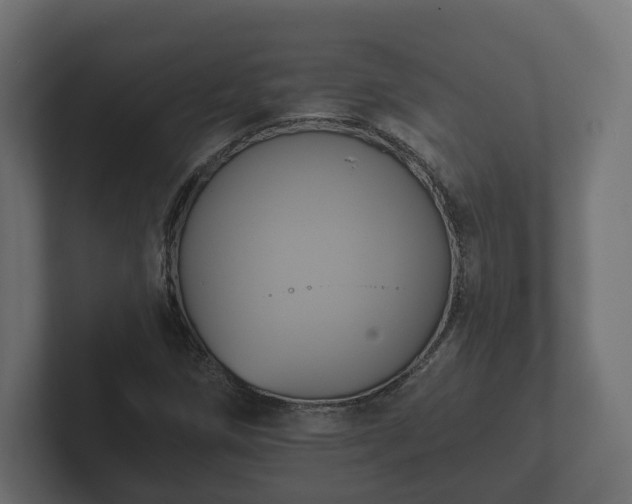 X0000102791258200808251021
