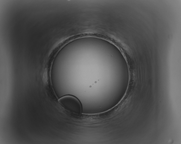 X0000102791262200808251021