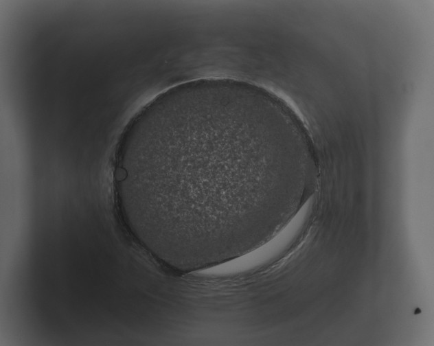 X0000102791263200808251021